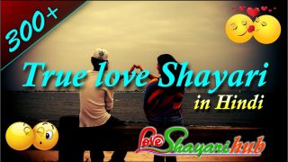 True love Shayari ???? 300+ true love shayari in hindi