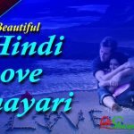 Beautiful Hindi Love Shayari | 500+ Best Love Shayari