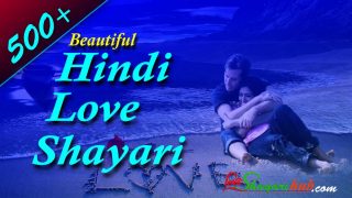 Beautiful Hindi Love Shayari | 500+ Best Love Shayari